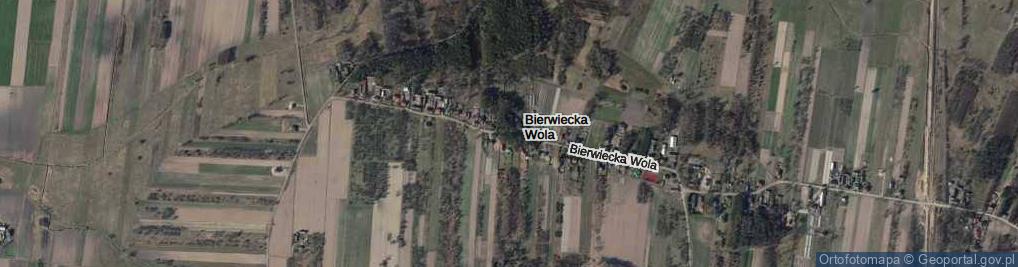 Zdjęcie satelitarne Bierwiecka Wola ul.